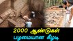 Brief collection! Keeladi Tamils Timeline-Oneindia Tamil