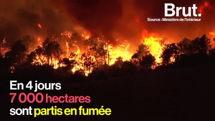 Incendies : les pompiers vent-debout