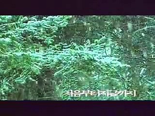 Winter Sonata-  처음부터 지금까지(겨울연가O.S.T)-류