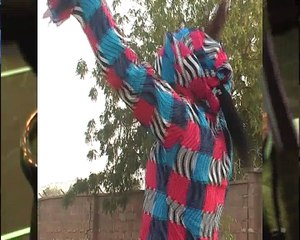 Tabare by Abdu Boda 🎶 - Official Music Video