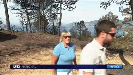 Incendies : une catastrophe écologique