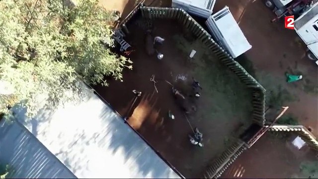 Rwanda : le rhinocéros noir réintroduit dans le parc national d'Akagera