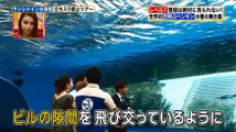 夏休み おススメスポット サンシャイン水族館 立ち入り禁止ツアー!
