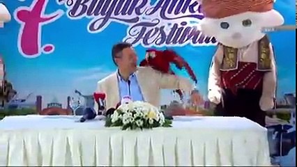 Melih Gökçek'in papağan tarafından gagalandı!