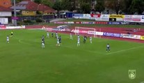 Manfred Fischer GOAL HD - Hartberg 1-0 FAC Wien 28.07.2017