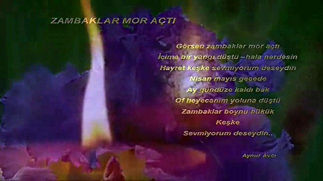 Zambaklar Mor Açtı Şiir Seslendiren Video Aynur AVCI