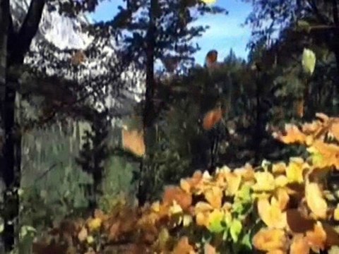 ŞİİR GELMESİNİ İSTEMEM-DURMUŞ YIĞMAN-Seslendiren Klip AYNUR AVCI