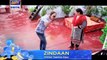 Zindaan Last Episode ( Promo ) ARY Digital Drama