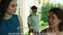 مسلسل طيور بلا أجنحة مترجم للعربية - اعلان الحلقة 8