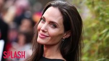 Angelina Jolie Didn't Know How to Decorate Her $25 Million Home