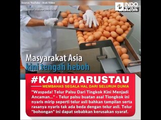 Hati-Hati! Telur Palsu dari Tiongkok Mengancam Konsumen 🥚