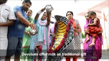 Indian snake charmers celebrate 'Nag Panchami' festival