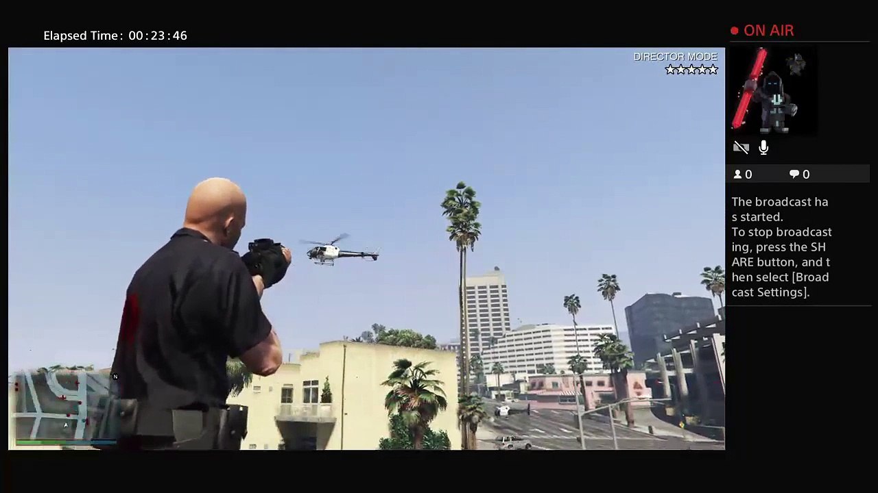 Brandon the goat (211)