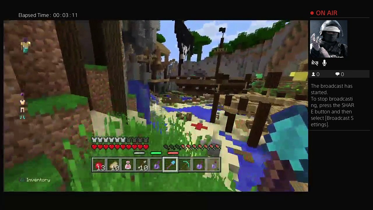 Minecraft (5)