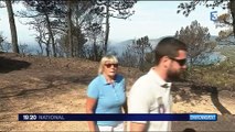 Feux de forêts : un désastre écologique