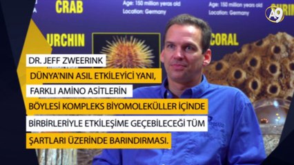 Dr. Jeff Zweerink: “Dünya'nın asıl etkileyici yanı, farklı amino asitlerin böylesi kompleks biyomoleküller içinde birbirleriyle etkileşime geçebileceği tüm şartları üzerinde barındırması”