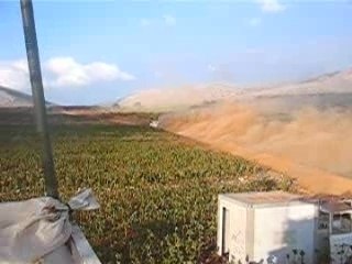 LECLERC AU LIBAN