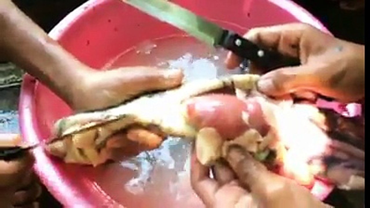 Niños preparando sopa de serpiente ... Kids preparing snake soup