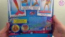 Poupées jouets jouets dessin animé jouer des poupées Barbie Ken Ryan Sammer Skipper ♥ barbie ken
