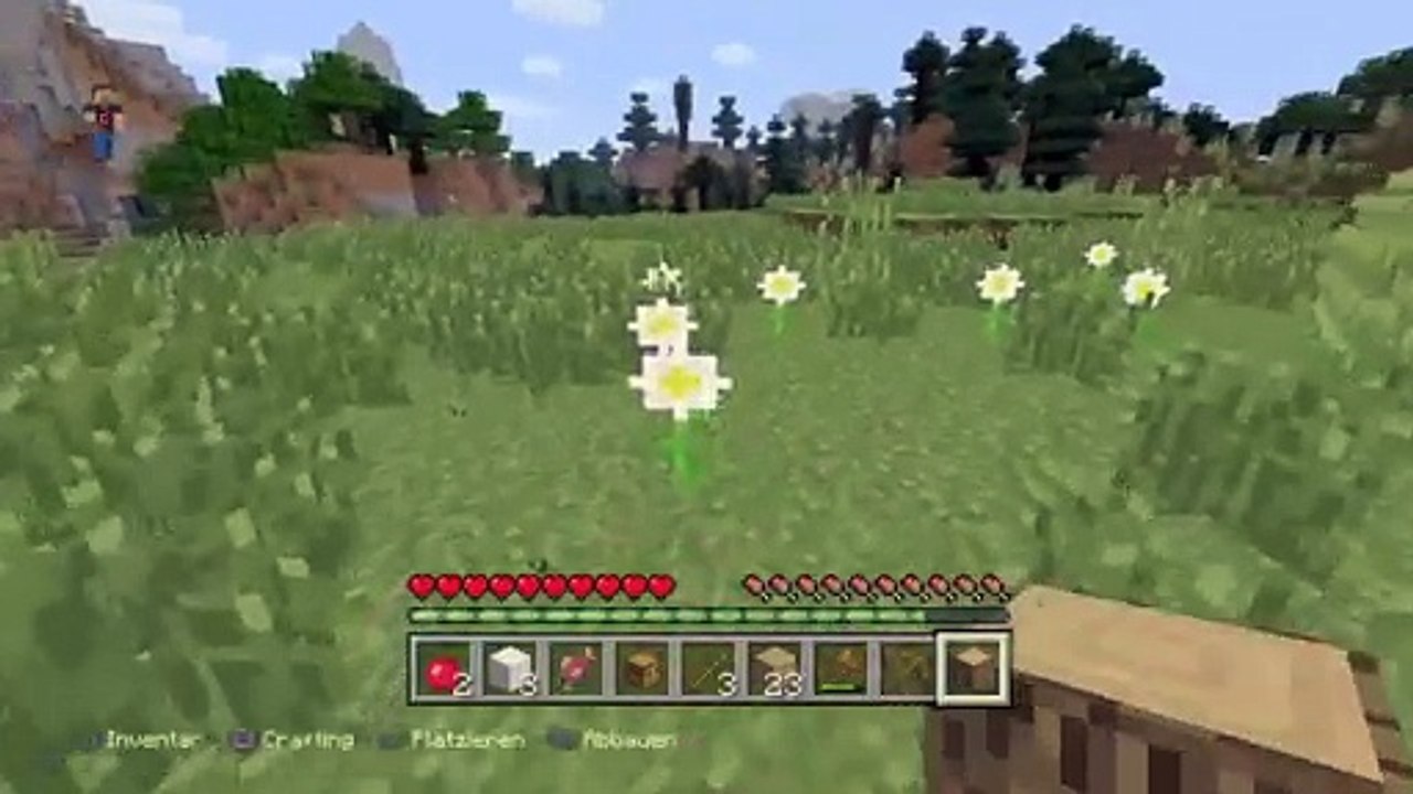 Minecraft und jetzt ich (12)