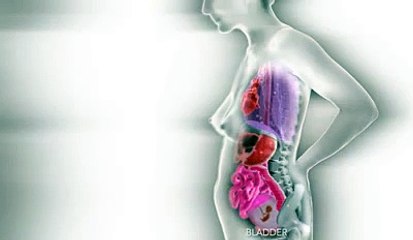 40 ثانية تظهر مراحل تكوين الجنين حتي نزوله.