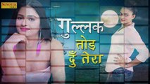 Gullak Tod Du Teri ¦¦ Manvir Singh, Atul Sharma ¦¦ Haryanvi DJ songs