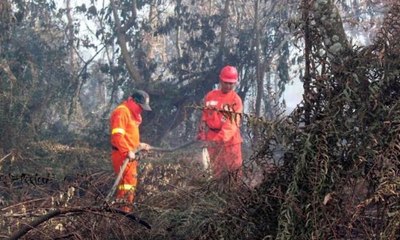 Komandan Satgas Perintahkan Tembak Pembakar Lahan