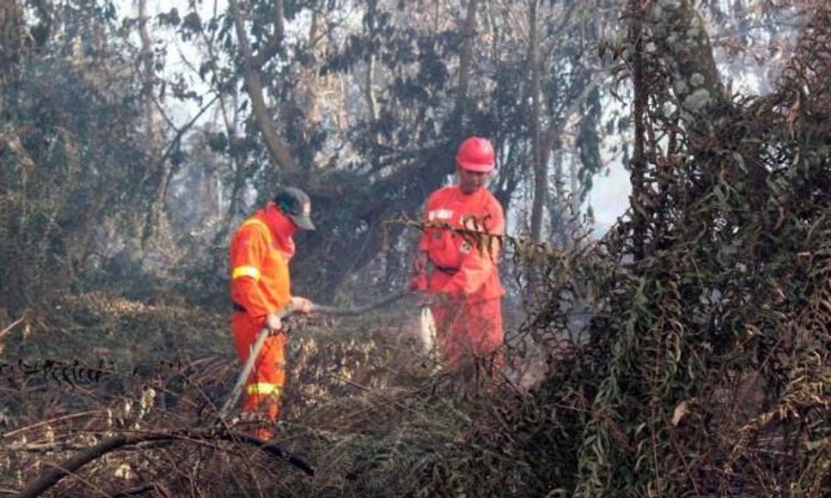 Komandan Satgas Perintahkan Tembak Pembakar Lahan