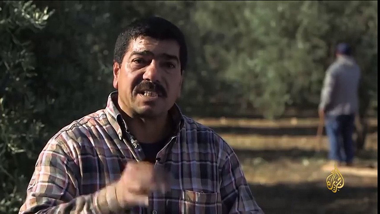 خطوات سهلة لمعرفة زيت الزيتون الأصلي
