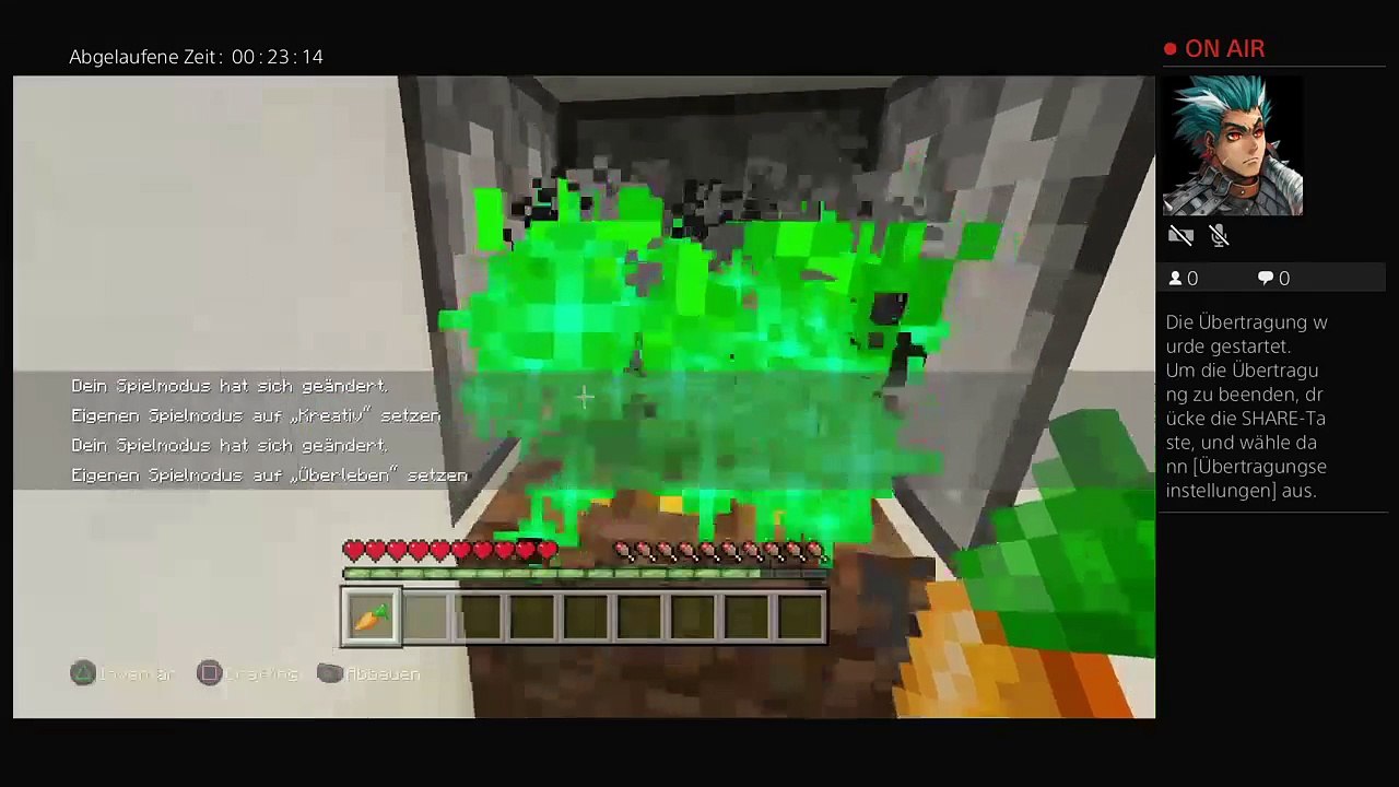 Minecraft und jetzt ich (13)