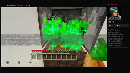 Minecraft und jetzt ich (13)