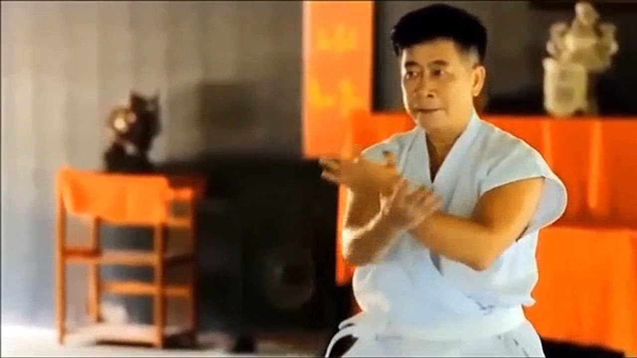 Võ sư Trịnh Hồng Minh thi triển một số động tác trong một bài quyền cổ của môn Nhất Nam