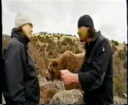 Vinculos animales-humanos: Brutus (Oso Grizzly)