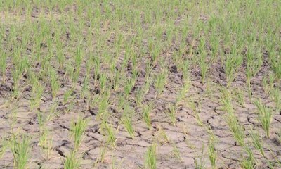 Kekeringan Melanda, Petugas TNI Bantu Memasok Air