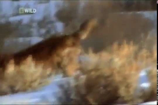 Reporteri: Žuri se kući