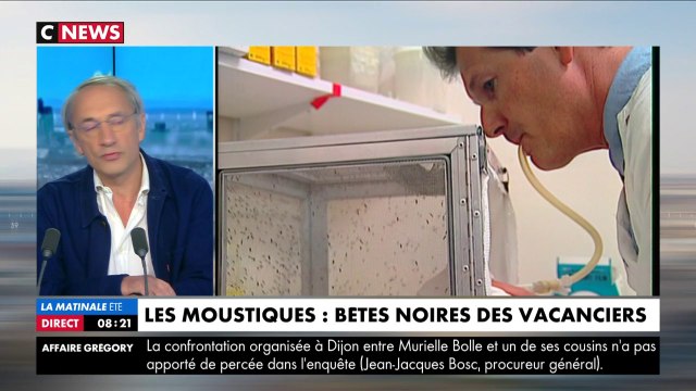 Citronnelle, bracelet anti-moustiques, ultrasons : inutiles contre les moustiques !