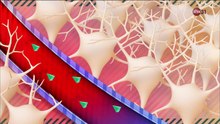 零距離科學3_血糖危機解密_NHK_Medical Revolution_Glucose Spike_20170728_