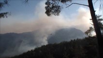 Hatay'daki Orman Yangını Yangınını Söndürme Çalışmaları Sürüyor