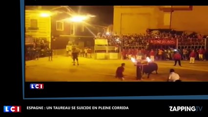 Espagne : Un taureau se suicide après avoir eu les cornes enflammées (Vidéo)