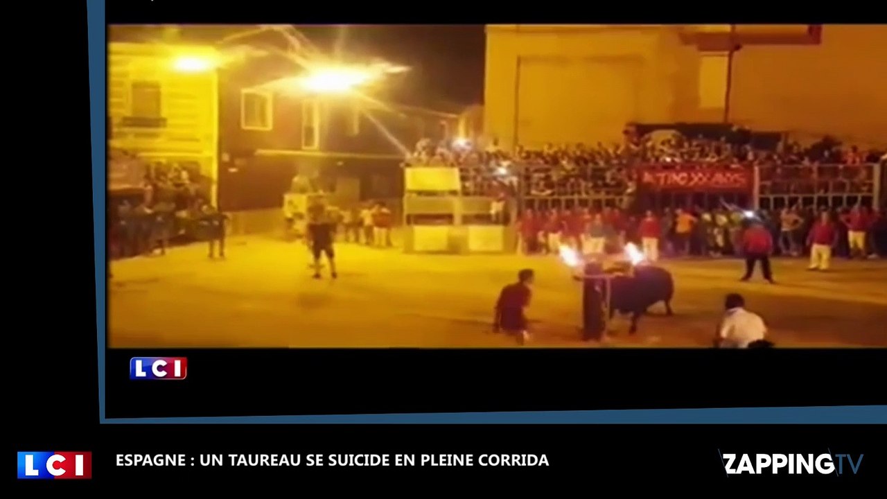 Espagne : Un taureau se suicide après avoir eu les cornes enflammées (Vidéo)
