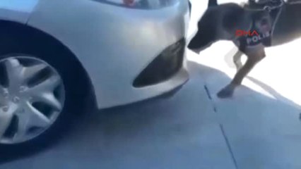 Muğla Milas'ta 4 Kilo Esrar ve Bir Tabanca Ele Geçirildi