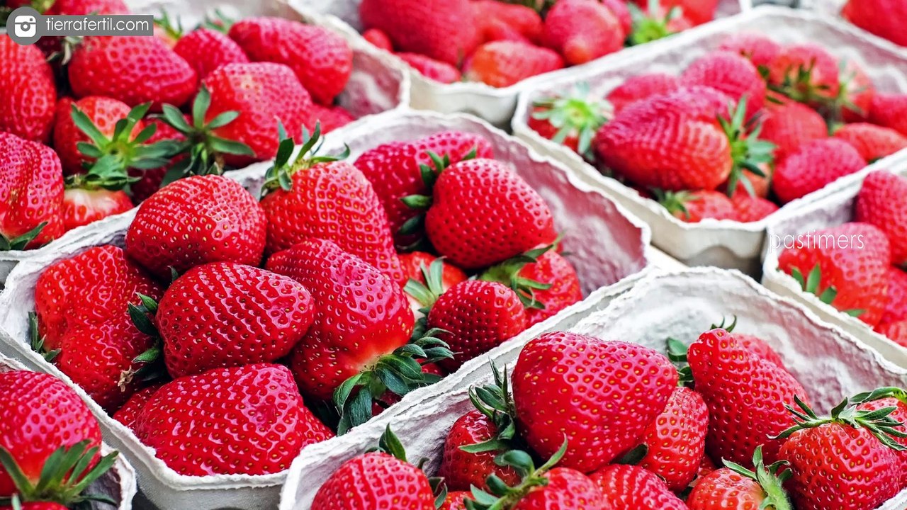 Top 10 Most Expensive Fruits In The World
