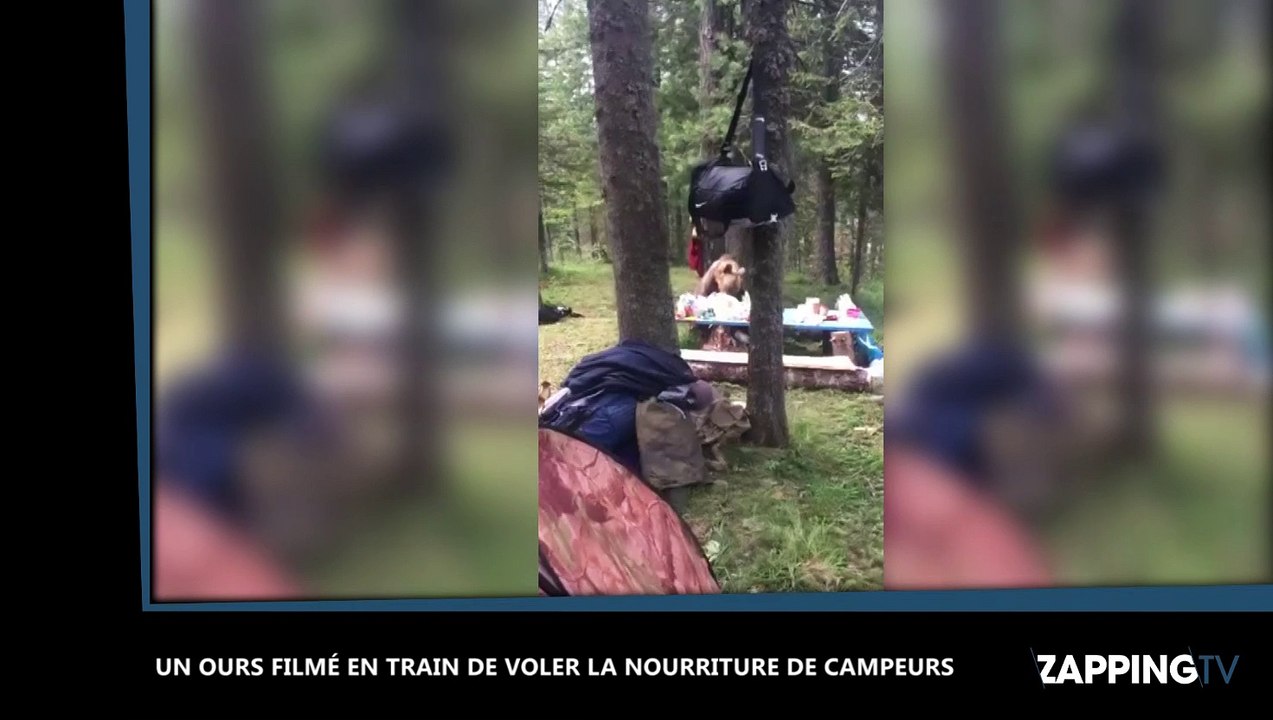 Russie : Un ours affamé vole la nourriture de campeurs, les images insolites (Vidéo)