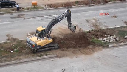 Hatay Çatal Palmiyeye Sahip Çıkılsın