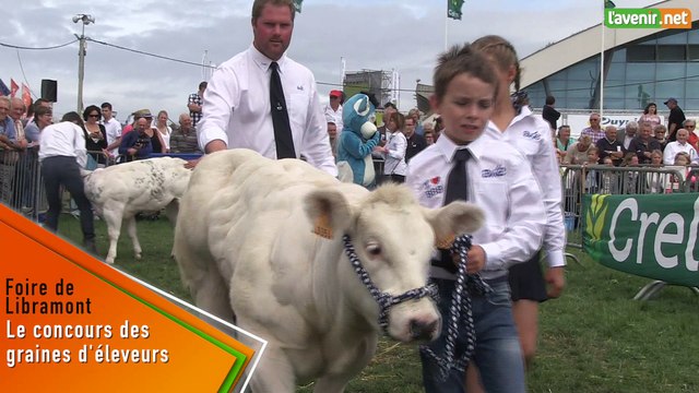 L'Avenir - Coup de cœur de la foire : le concours des graines d'éleveurs
