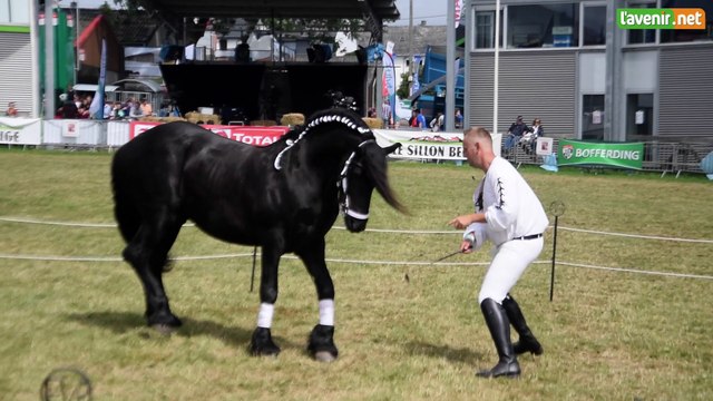 L'Avenir - Foire de Libramont