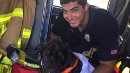 下载视频: Heroic firefighter rescues dog from drowning