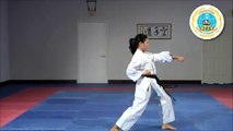 Kihon Kata Ichi - International Hayashi-Ha Shito-Ryu