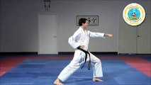Kihon Kata Ni - International Hayashi-Ha Shito-Ryu
