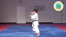 Seipai - International Hayashi-Ha Shito-Ryu